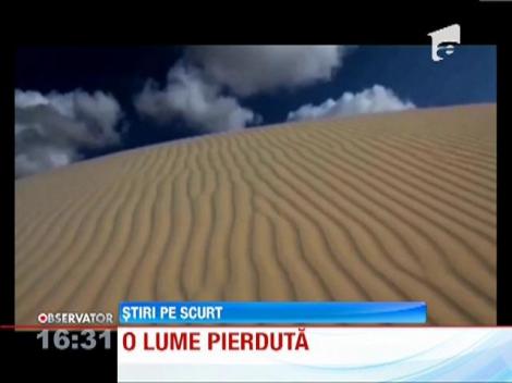 Asa ceva, mai rar vezi! Socotra, insula cu o vegetatie UNICA pe Pamant