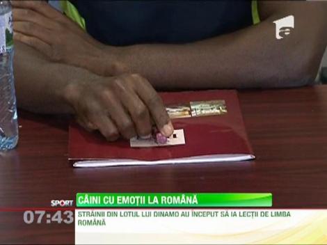 Negoita ii obliga pe strainii din haita sa invete limba romana