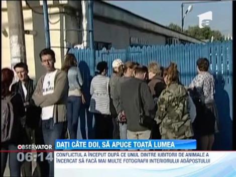 Sute de bucuresteni au venit sa adopte un caine