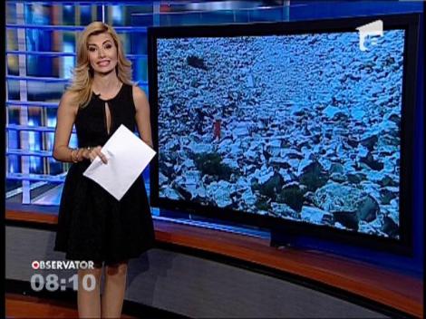 Ecologistii peruani vor sa vopseasca un munte in alb