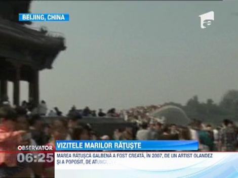 Mac-mac e cea mai plimbareata! O uriasa rata de cauciuc colinda marile porturi ale lumii