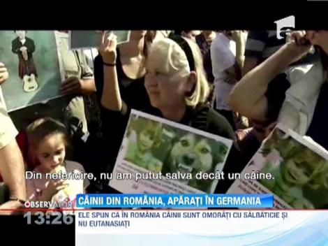 Cainii din Romania, aparati in Germania