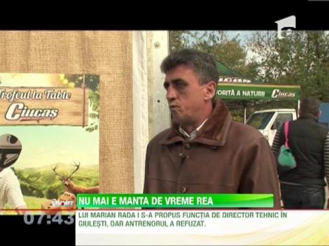 Marian Rada a refuzat functia de director tehnic la Rapid