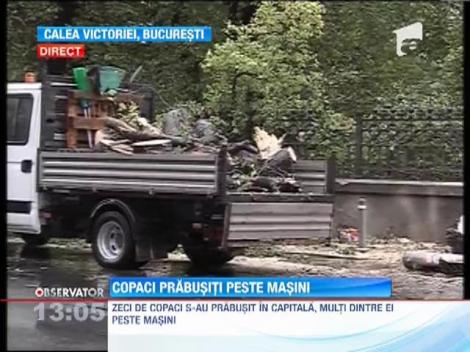 Copaci prabusiti peste masini in Capitala