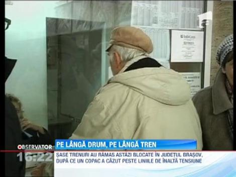 6 trenuri blocate intre Timisu de Sus si Predeal din cauza copacilor cazuti