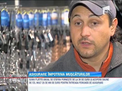 Asigurare impotriva muscaturilor de caine