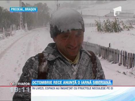 Inceputul lui octombrie a lovit Romania cu cod galben de furtuni, ninsoare si viscol
