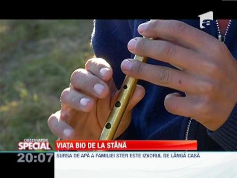 Viata BIO de la stana