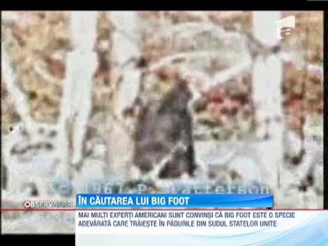 Noi dovezi ca Big Foot exista!