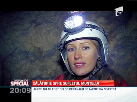 Calatorie spre sufletul muntelui