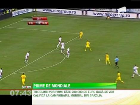 Mircea Sandu a marit prima de calificare la Mondialul din Brazilia