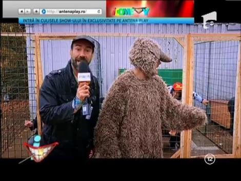 Am gasit centrul unde cainii maidanezi pot adopta un stapan!