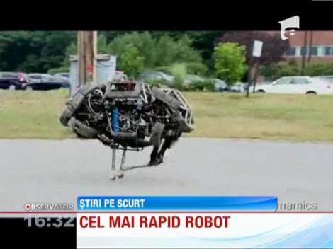 WildCat, cel mai rapid robot din lume