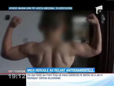 Micii Hercule s-au intors in sala de forta!