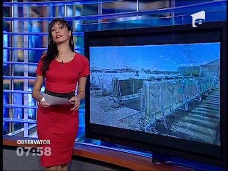 Cum poti sa produci combustibil din algele care au invadat plajele lumii