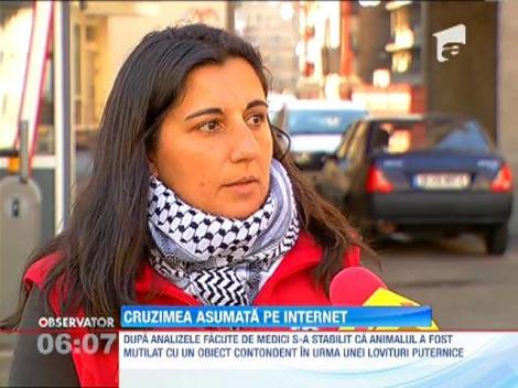 Mutilarea catelusei de pe Calea Grivitei, povestita pe Internet