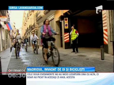 Madridul, invadat de oi si biciclisti!