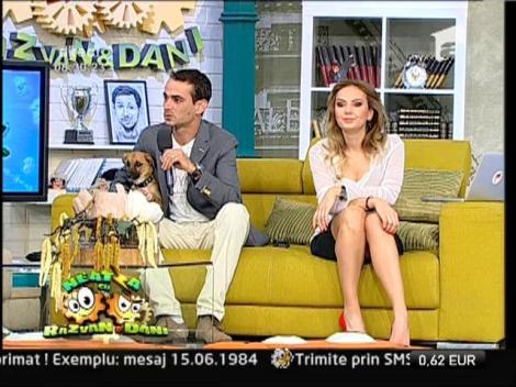 Totul despre adoptia la distanta