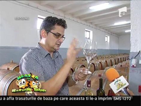 Etapele degustarii vinului