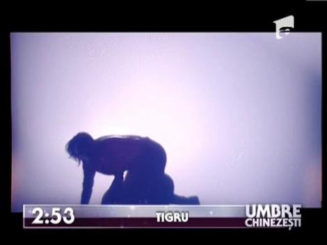 Proba "Umbre chinezesti": Selesi si Roxana Ciuhulescu, echipa I, au imitat un pinguin