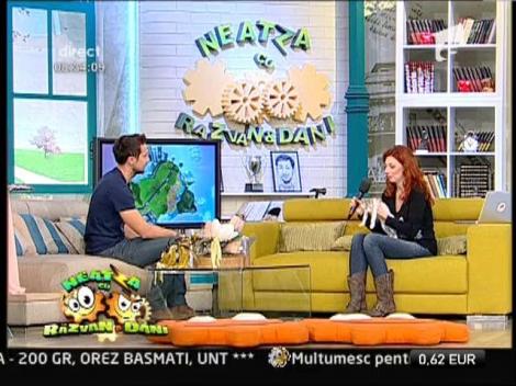 Cum sa hranim corect pisica