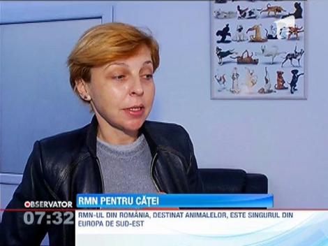 Cainii si pisicile paralizate sau care se misca cu dificultate, nu mai trebuie sa fie eutanasiate