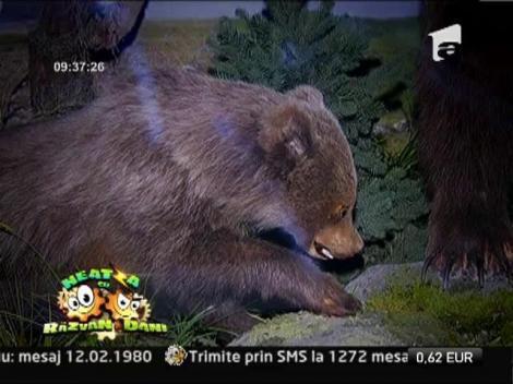 Neatza: Eveniment special, la Muzeul Antipa, in weekend 