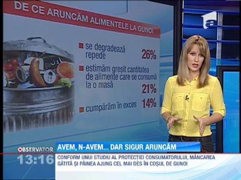 Mancarea gatita si painea ajung cel mai des in cosul de gunoi