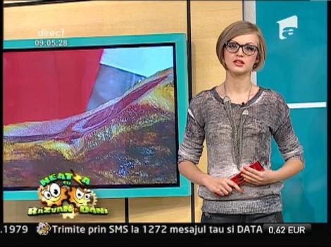 Horoscopul general al zilei 11/10/2013