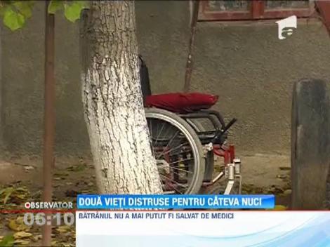 Doua vieti distruse pentru un sac de nuci