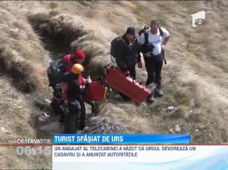 Salvamontistii din Busteni au surprins un urs, care se hranea din trupul unui barbat