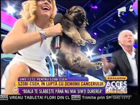 Zsobi Cseh, o viata de roman!