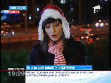 O fi frig, o ninge sau o fi caldut? Prognoza meteo de Sarbatori