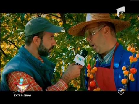 Britanicii au cercetatorii lor, dar ai nostri sunt mult mai tari! Au descoperit planta care face Saorma