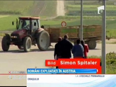 Zeci de romani, angajati la o firma din Austria, au protestat in fata cladirii, fata de conditiile grele de munca