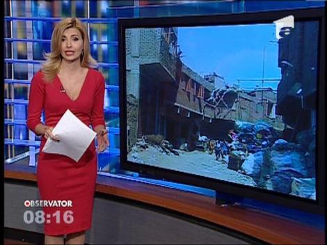 Orasul plin de gunoaie