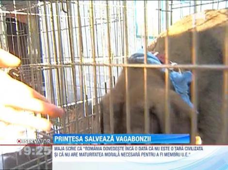 Printesa Maja de Hohenzollern vrea sa ia acasa caini vagabonzi din Romania