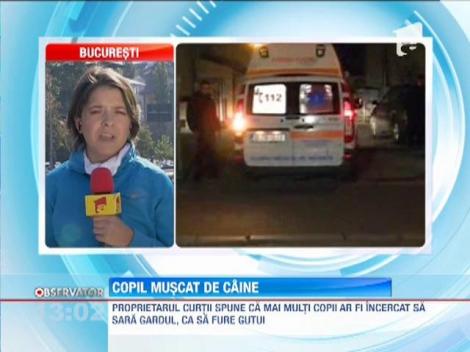 Update / Inca o victima a maidanezilor! Un copil a fost muscat de ureche