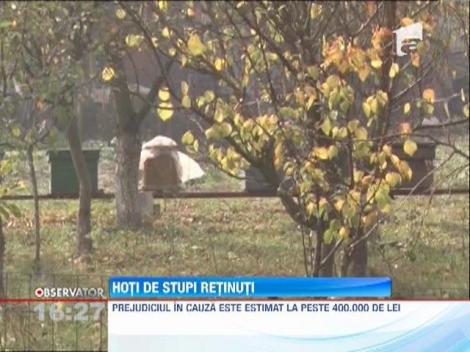 Hotii de stupi au fost retinuti de politisti