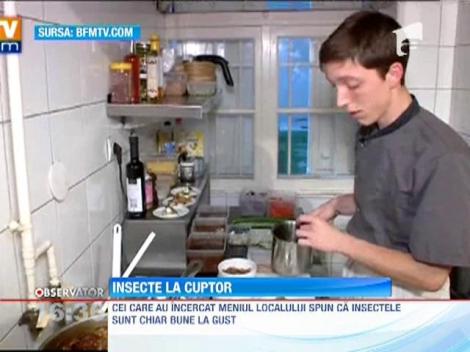 Un restaurant din Paris serveste doar preparate din insecte 