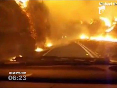 Sydney, amenintat de un "mega-incendiu"