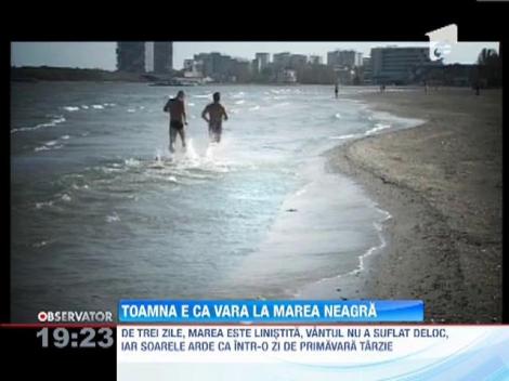 Balaceala de toamna in Marea Neagra