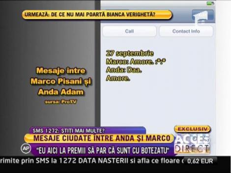 Schimbul de mesaje dintre Marco Pisani si Anda Adam