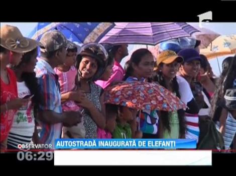 INEDIT! Peste 50 de elefanti au defilat pe cea mai noua autostrada din Sri Lanka