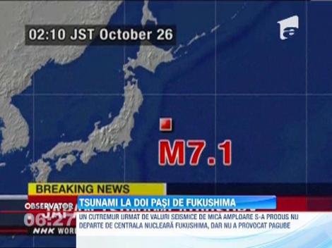 Tsunamiul ce a urmat sesismului de 7,1 pe scara Richter, din Japonia, a fost de mica intensitate