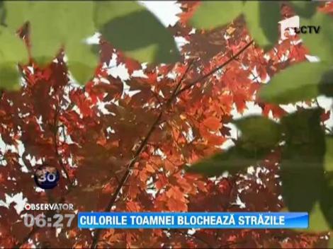 Beijingul, blocat de culorile toamnei