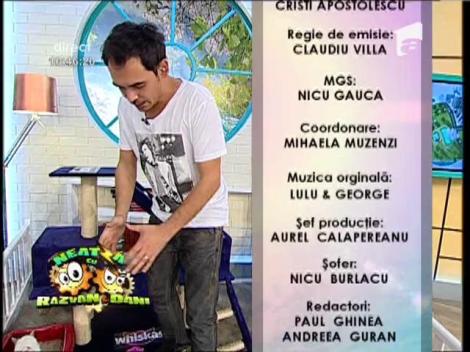 Andreea D, single nou