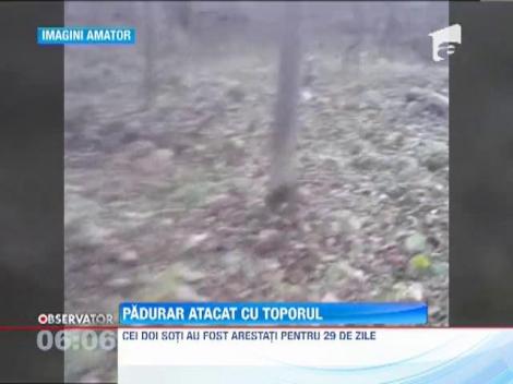 Padurar atacat cu toporul de hotii de lemne