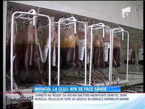 Romanii sunt aproape de inventia secolului - sangele artificial!