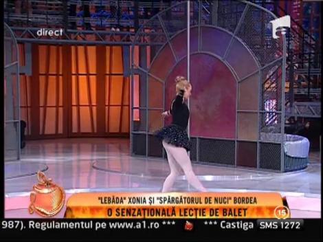 "Lebada" Xonia si "Spargatorul de Nuci" Bordea!